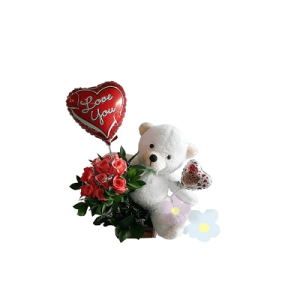 خرس برای هدیه